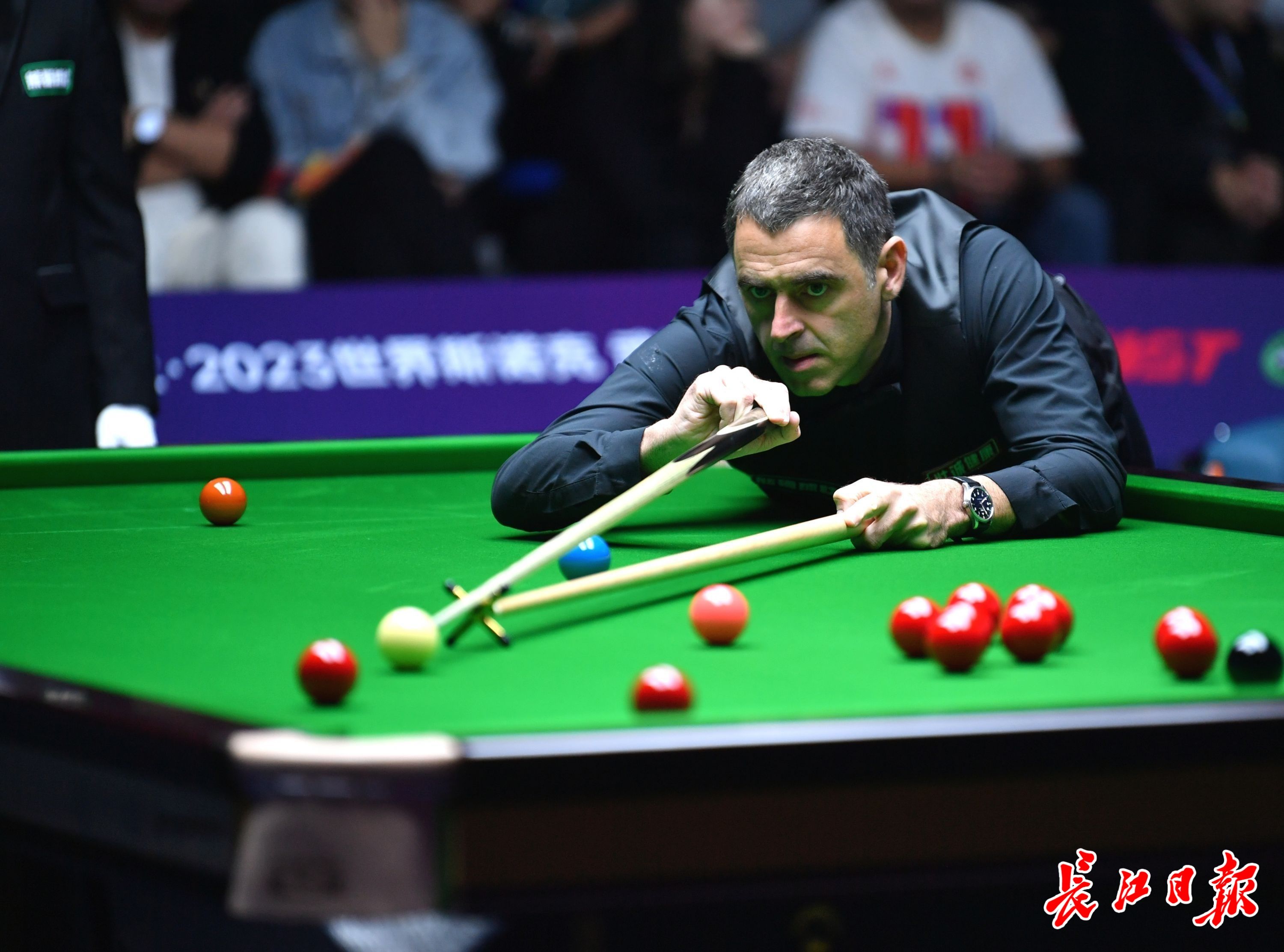 机会主义者 机会主义者